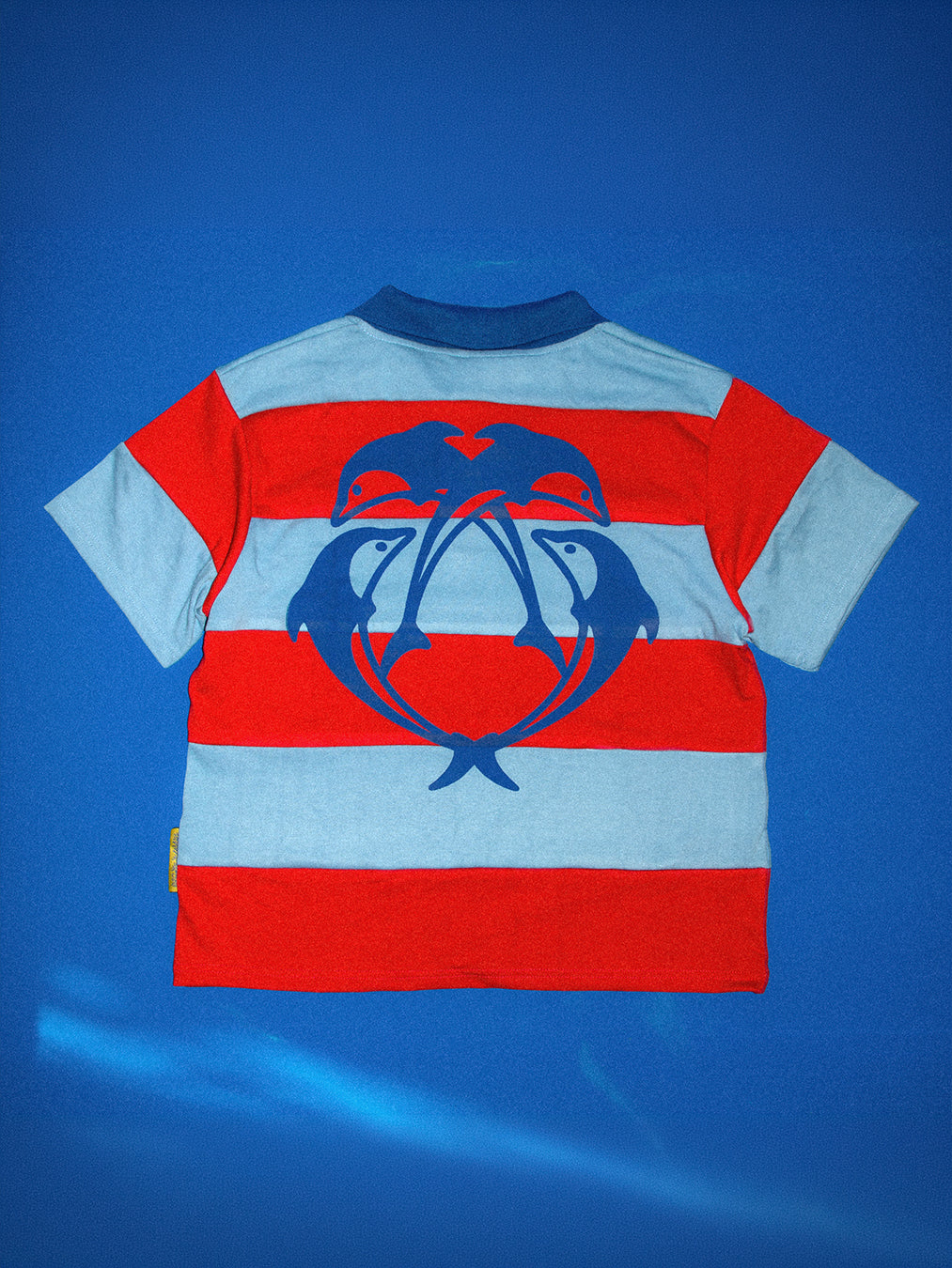Porpoise Polo