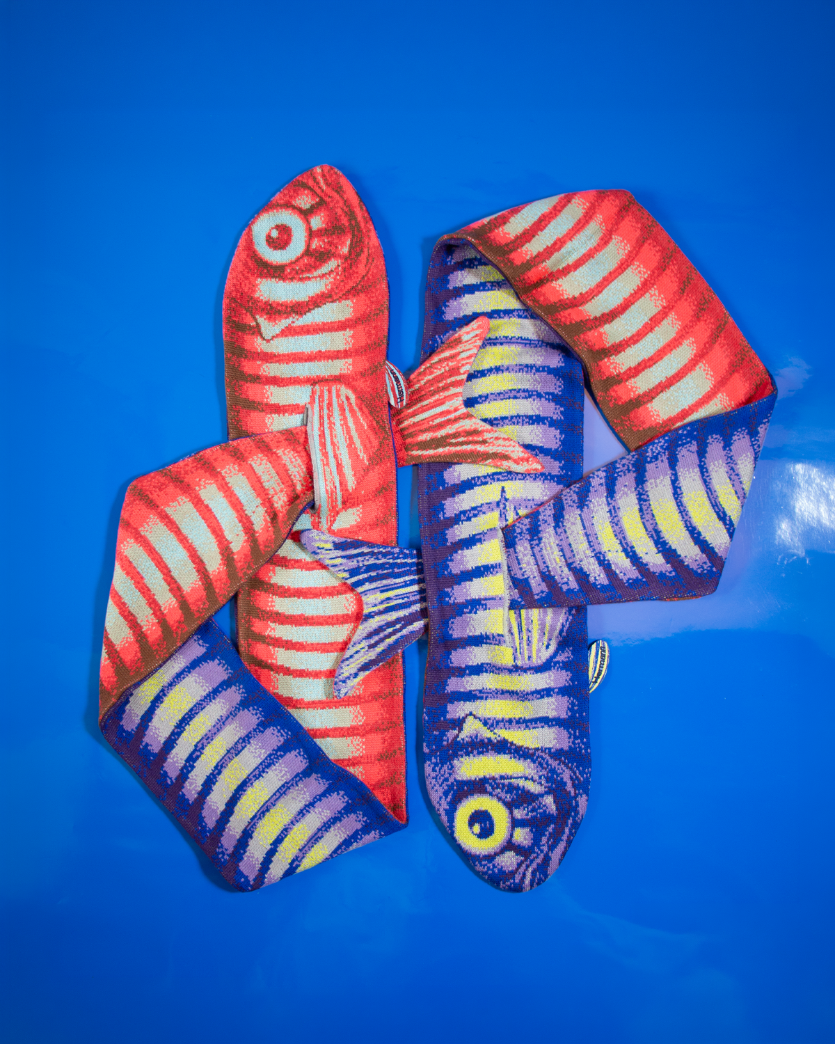 'Fish
