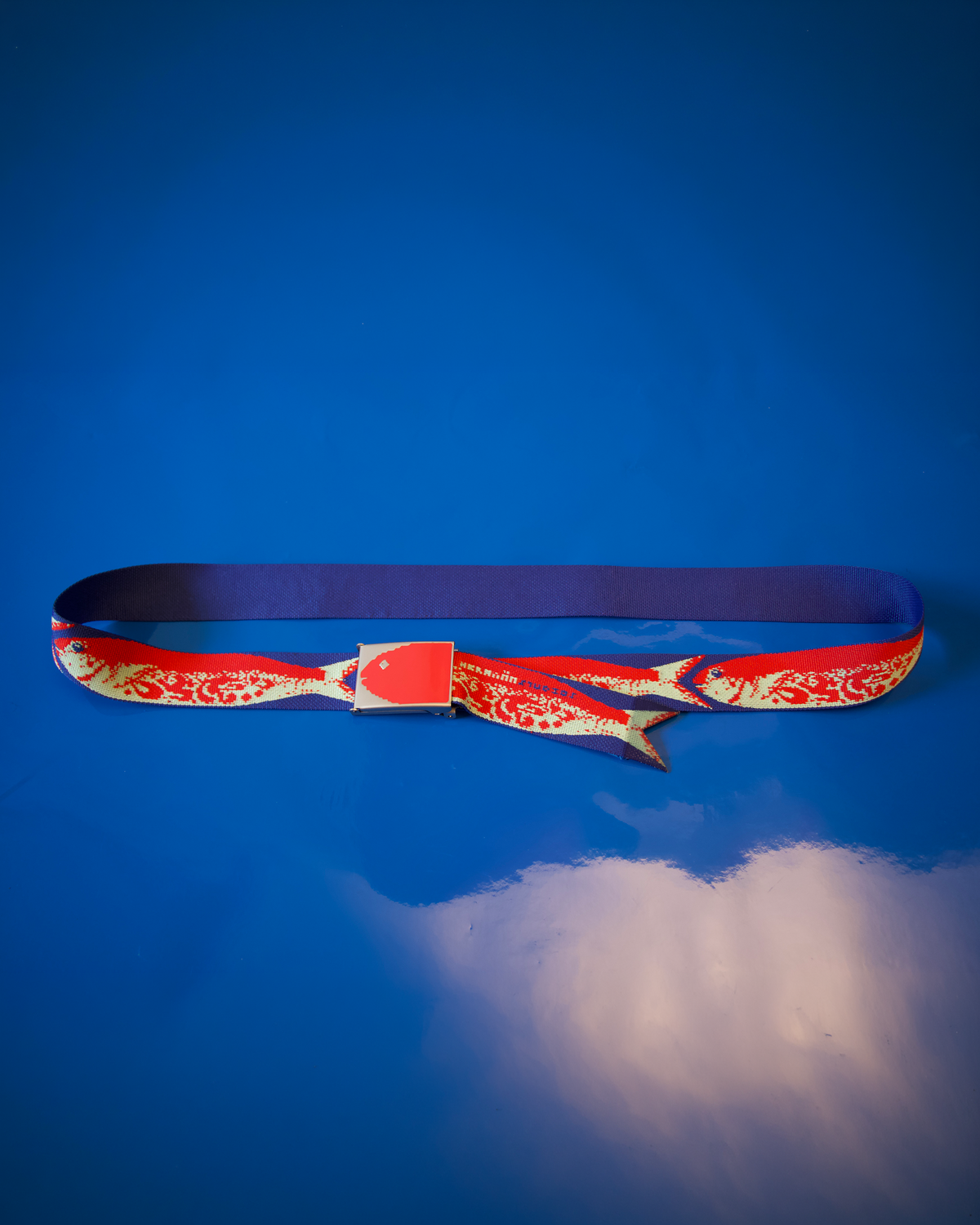 'Fish' Belt
