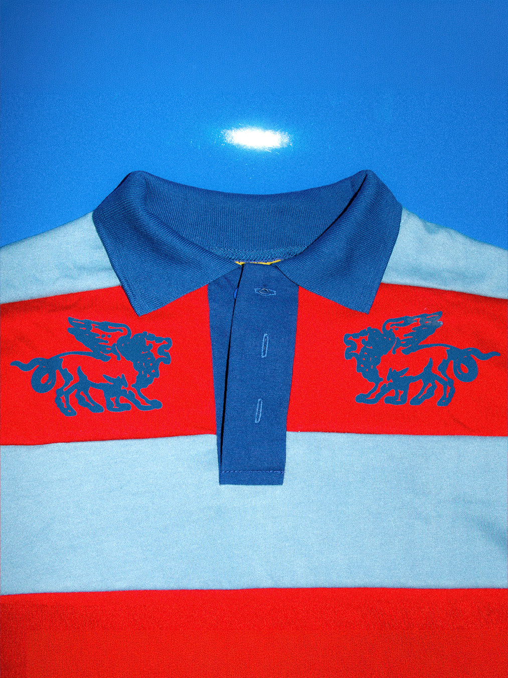 Porpoise Polo