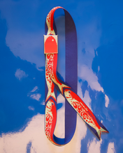Load image into Gallery viewer, 'Fish' Belt

