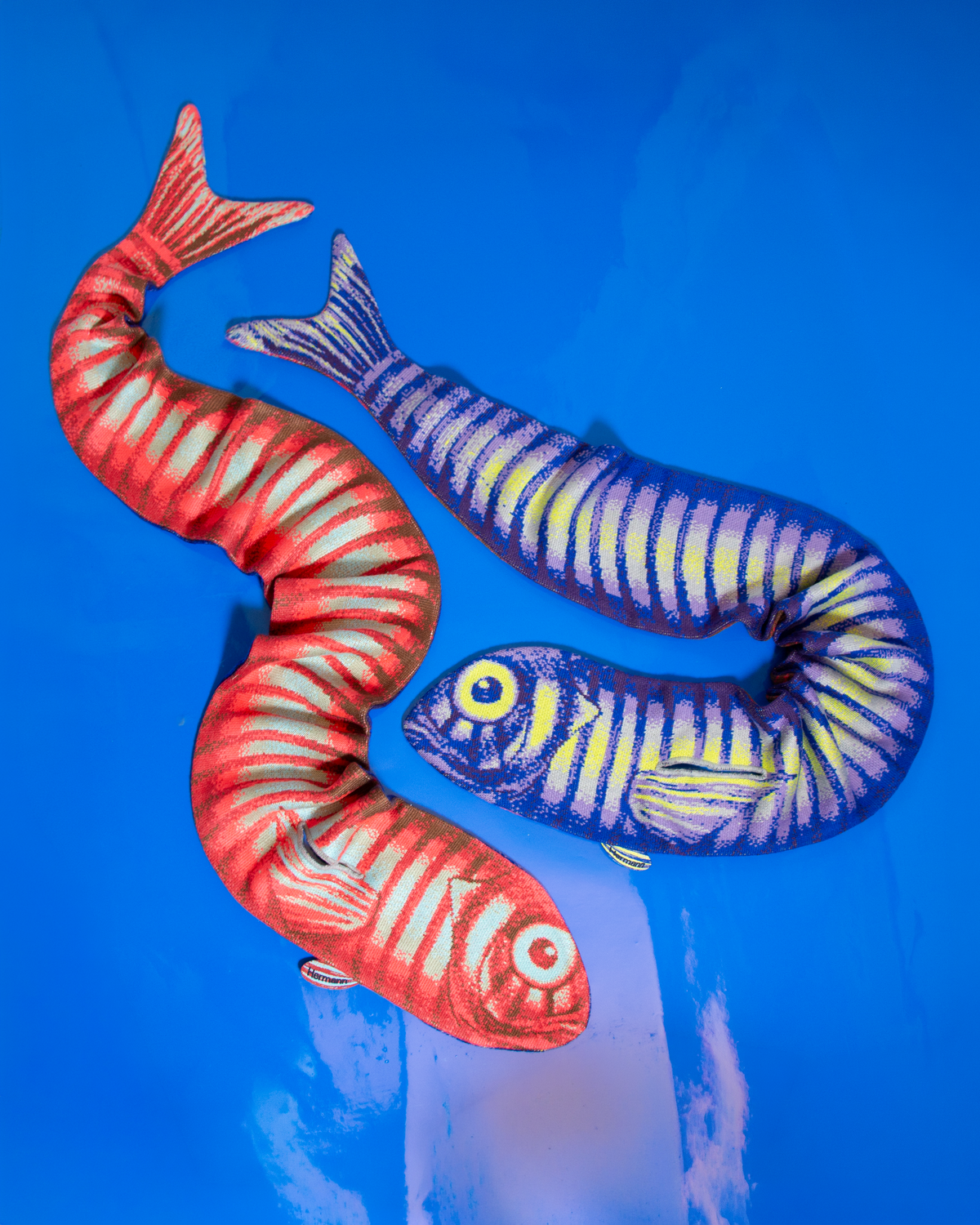 'Fish