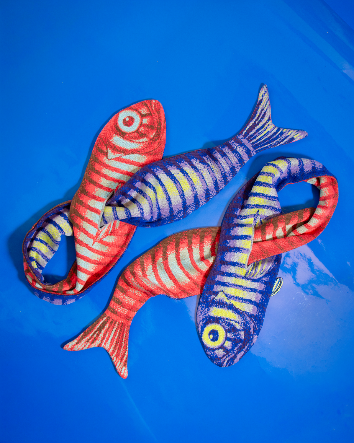 'Fish