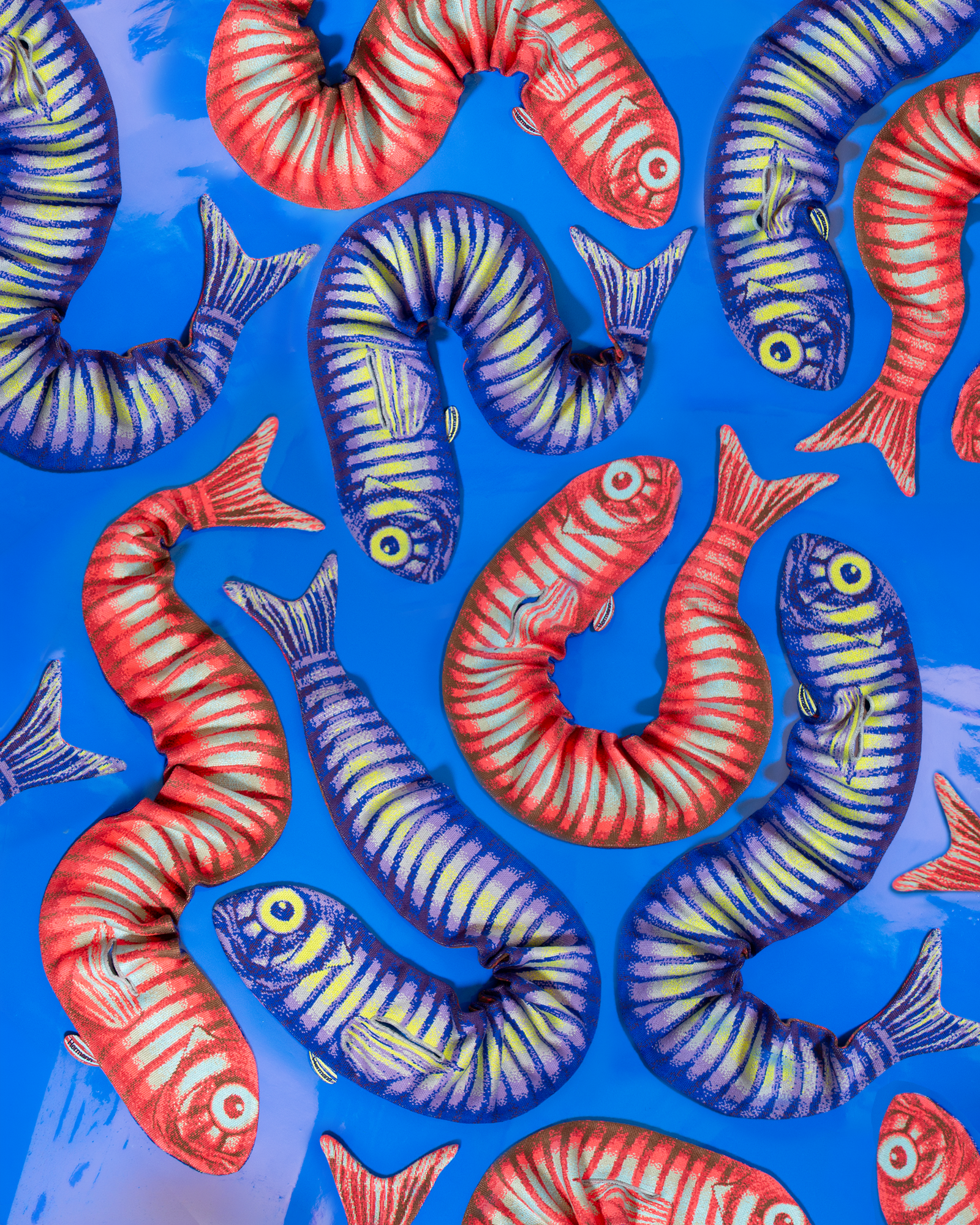 'Fish