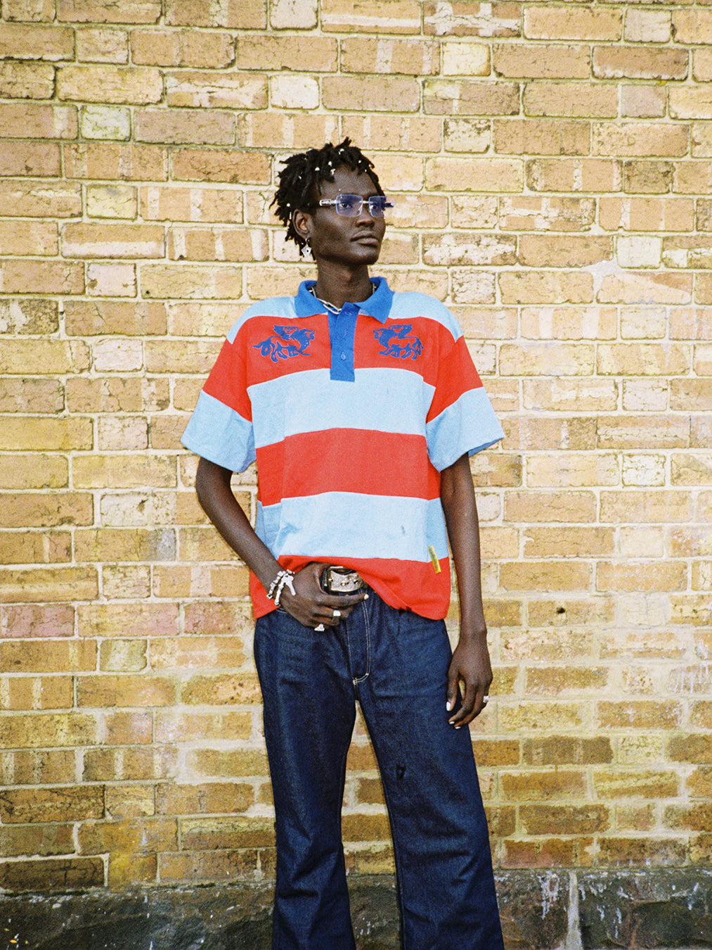 Porpoise Polo