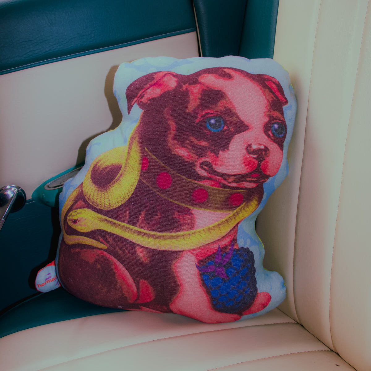 'Maisy Momanë' Cushion